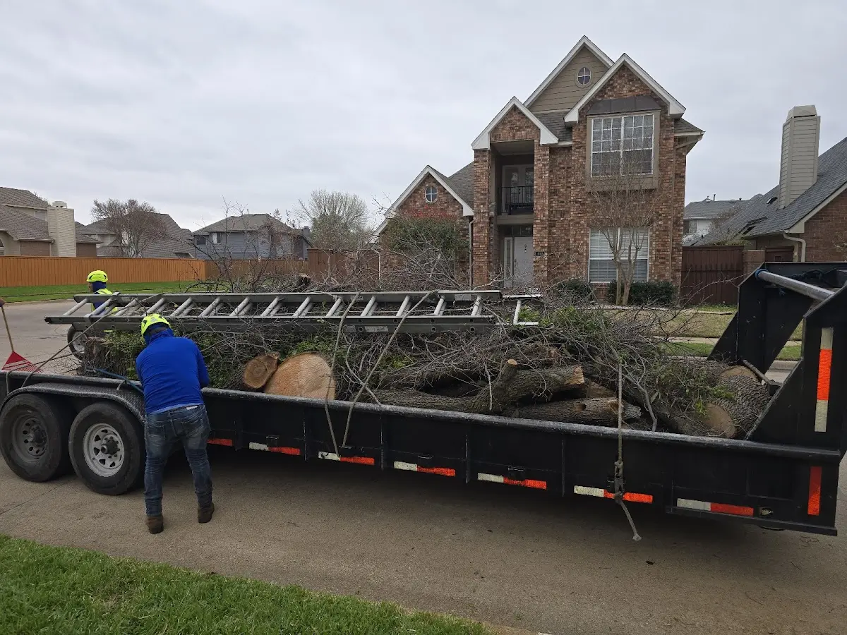 Expert Lot Clearing with proper safety equipment in Whiteoak